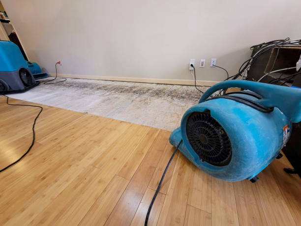 Professional Flood Damage Cleanup technician working in North Bend, NE